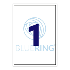 BLUERING Etikett címke, 210x297mm, 100 lap, 1 címke/lap (5999093848970) etikett