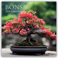  Bonsai - Bonsaibäume 2026 - 16-Monatskalender naptár, kalendárium