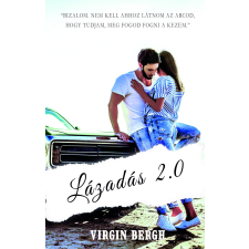 Book Dreams Lázadás 2.0 regény