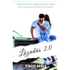 Book Dreams Lázadás 2.0 egyéb e-könyv