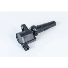 BorgWarner (BERU) gyújtótekercs ZS592 autóalkatrész