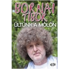Bornai Tibor ÜLTÜNK A MÓLÓN - ÜKH 2014 irodalom