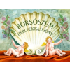  Borsószem hercegkisasszony diafilm
