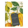  Botanical Art Notebook Set – . Bodleian Librar