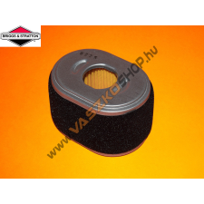 Briggs & Stratton Levegőszűrő Briggs XR950 590601 barkácsgép tartozék