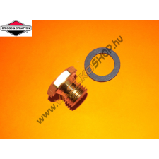 Briggs & Stratton Úszóház felfogató csavar Briggs 493637 barkácsgép tartozék