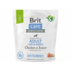Brit Care Dog Sustainable Insect Adult Large Breed  1 kg