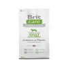 Brit Care Grain-Free Adult Large Breed Salmon &amp; Potato