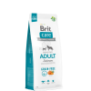  Brit Care Grain-free Adult Salmon & Potato 12 kg