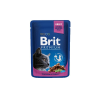  Brit Premium Cat Pouches with Chicken & Turkey – 12×100 g