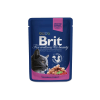  Brit Premium Cat Pouches with Salmon & Trout – 12×100 g