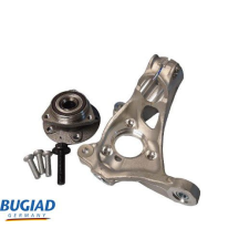 BUGIAD tengelycsonk, kerékfelfüggesztés BUGIAD BSP25042PROKIT autóalkatrész