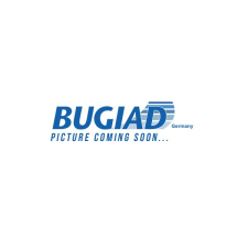 BUGIAD tengelycsonk, kerékfelfüggesztés BUGIAD BSP25148Prokit autóalkatrész