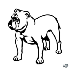  Bulldog matrica 14 matrica