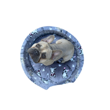 Bulldog mintás fekhely - szürke, XS szállítóbox, fekhely kutyáknak