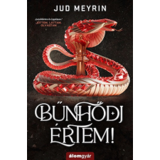  Bűnhődj értem! regény