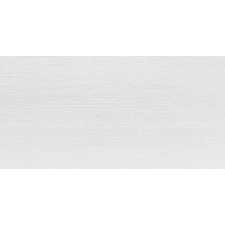 Burkolat Rako Saloon világosszürke 30x60 cm matt WAKVK162.1 csempe