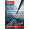  Business Grammar and Practice – Nick Brieger