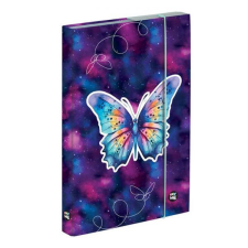  Butterfly Purple pillangós füzetbox - A4 - OXY BAG füzetbox