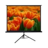 BYDIUM 160cm