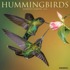  CAL 24 HUMMINGBIRDS – WALL naptár, kalendárium