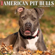 CAL 25 AMERICAN PIT BULL TERRIERS 2025 – WALL naptár, kalendárium