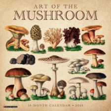 CAL 25 ART OF THE MUSHROOM 2025 WALL – WALL naptár, kalendárium