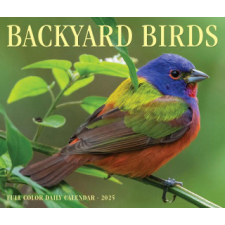 CAL 25 BACKYARD BIRDS 2025 BOX – BOX naptár, kalendárium