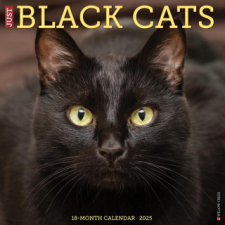 CAL 25 BLACK CATS 2025 WALL – WALL naptár, kalendárium