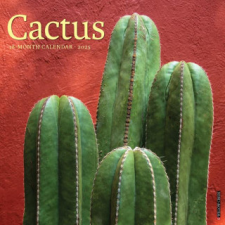 CAL 25 CACTUS 2025 WALL – WALL naptár, kalendárium