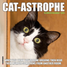 CAL 25 CAT ASTROPHE 2025 MINI WALL – MINI WALL naptár, kalendárium