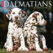 CAL 25 DALMATIANS 2025 WALL – WALL naptár, kalendárium