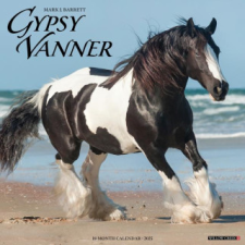  CAL 25 GYPSY VANNER HORSE 2025 WALL – WALL naptár, kalendárium
