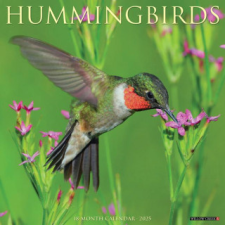 CAL 25 HUMMINGBIRDS 2025 WALL – WALL naptár, kalendárium