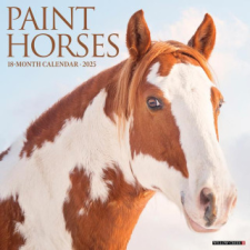 CAL 25 PAINT HORSES 2025 WALL – WALL naptár, kalendárium