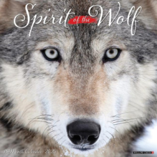 CAL 25 SPIRIT OF THE WOLF 2025 WALL – WALL naptár, kalendárium
