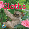  CAL 26 ORIGINAL SLOTHS – MINI WALL