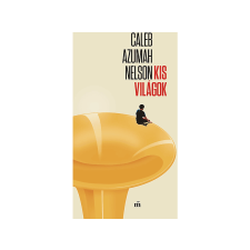 Caleb Azumah Nelson - Kis világok regény