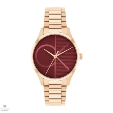 Calvin Klein Iconic női óra - CK25200347 karóra