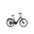 Capriolo Elektrobicykel Capriolo E-City Lady 28 E-BIKE šedá