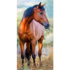 Carbotex Froté ručník kůň hnědák na louce 30×50 cm lakástextília