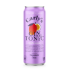  Carly's Mis/fit Mango gin & tonic RTD DRS (0,25L / 4,9%)