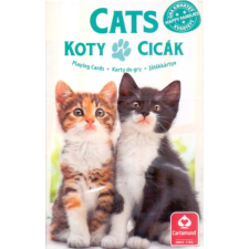 Cartamundi Kedvenceink a cicák 4 az 1-ben kártya (Cartaco) kártyajáték
