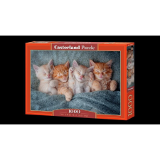 Castorland 1000 db-os puzzle - A legédesebb cicák (C-105144) puzzle, kirakós