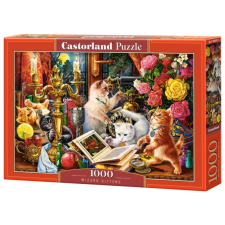 Castorland 1000 db-os puzzle - Varázsló cicák (C-104857) puzzle, kirakós