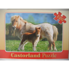  Castorland 120 db-os puzzle puzzle, kirakós