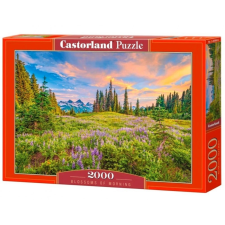 Castorland Castorland reggeli virágok puzzle - 2000 darabos puzzle, kirakós