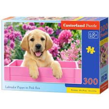 Castorland Kis labrador pink ládában 300 db-os puzzle – Castorland puzzle, kirakós