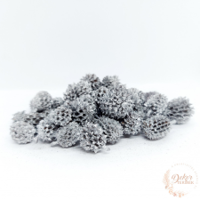 Casuarina - ezüst színű dekorációs kellék