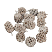  Casuarina falfestékes szürke 17dkg/csom dekorációs kellék